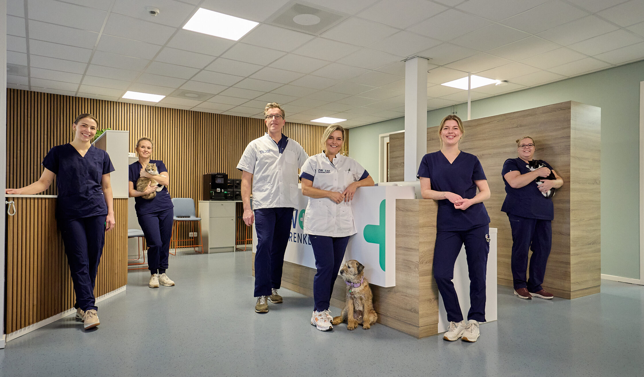 2026_02_ZDK_WEBSITE_14